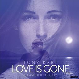 Love is gone (Original Mix)